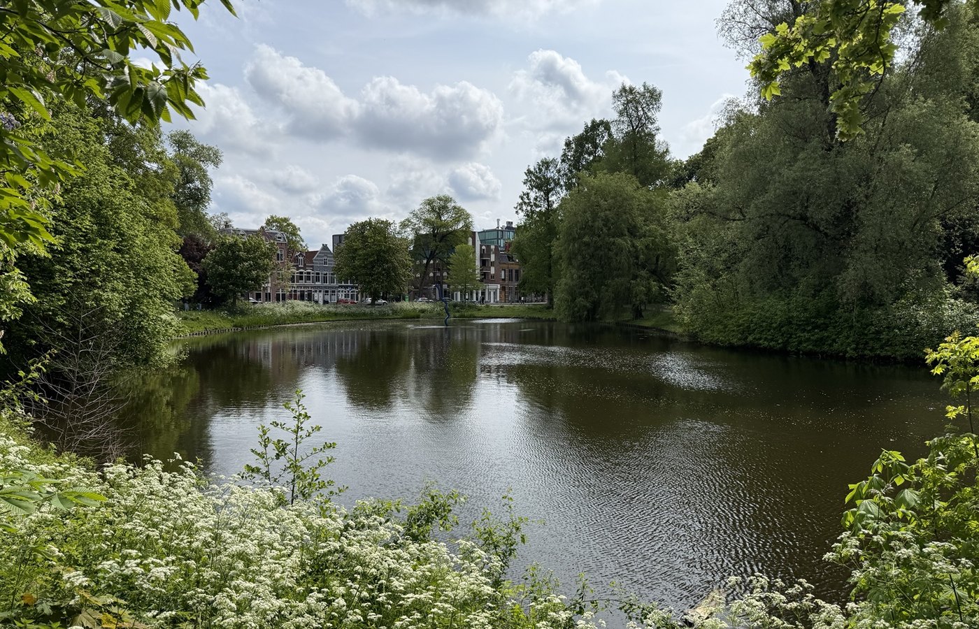 Groene wateromgeving in Groningen